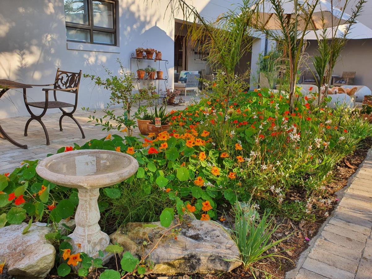 Albatross Guesthouse Langebaan Eksteriør billede